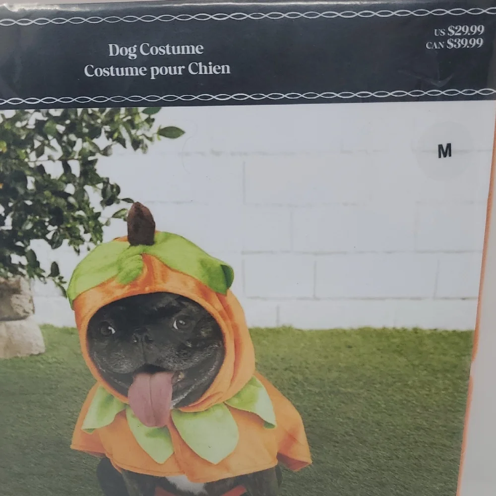 Dog Pumpkin Costume - Vibrant Orange SIZE M
